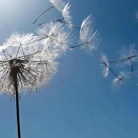 Stern Am Maigloeckchenberg Lejlighed *