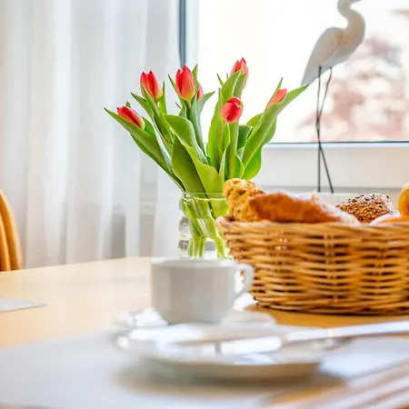 Stern Am Maigloeckchenberg Karlshagen