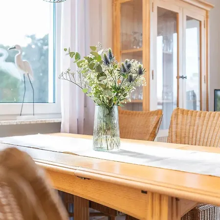 Stern Am Maigloeckchenberg